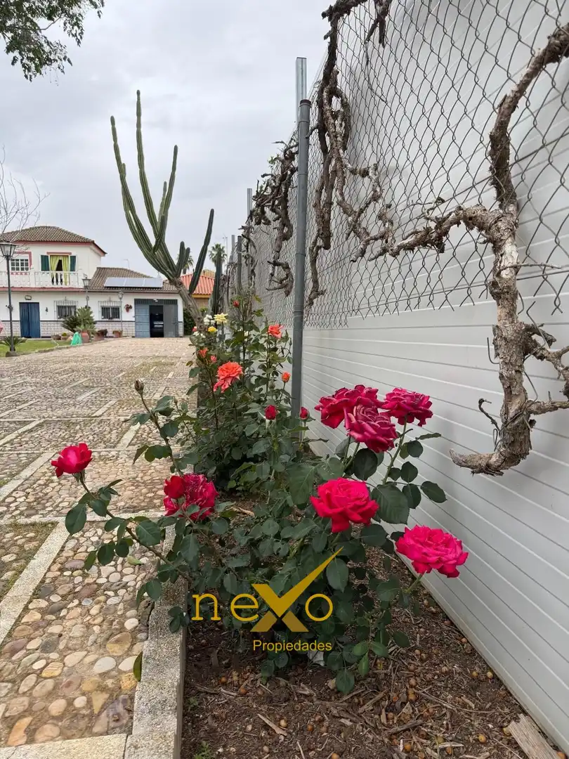 Jardín de Casa o chalet en venta en Carmona con Aire acondicionado, Jardín privado y Terraza