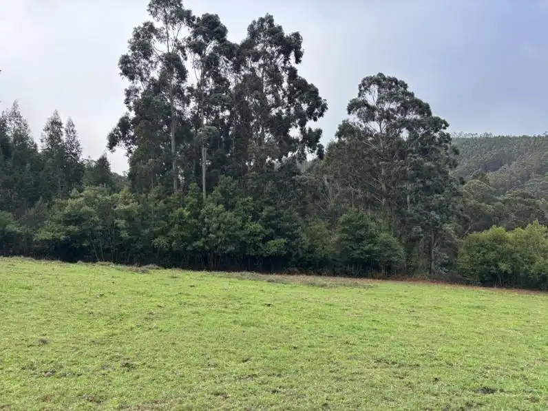 Casa o xalet en venda en Ortigueira amb Calefacció, Jardí privat i Traster