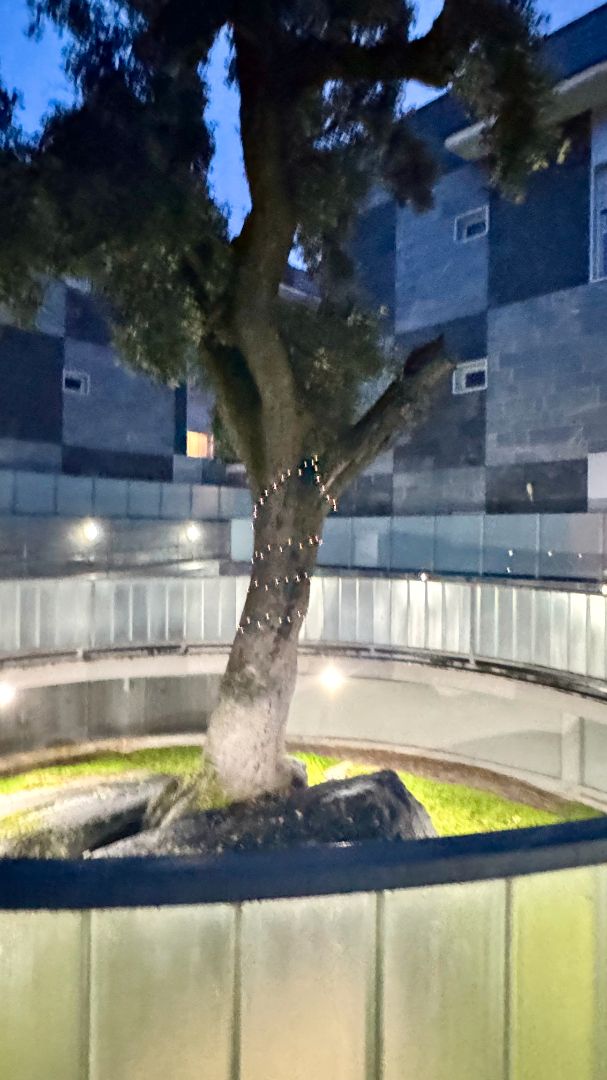 Flat for sale in Villalba Pueblo