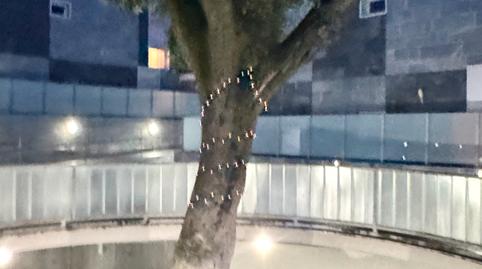 Photo 2 of Flat for sale in Villalba Pueblo, Collado Villalba