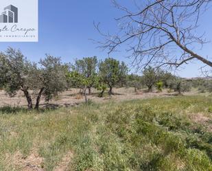 Land for sale in  Granada Capital