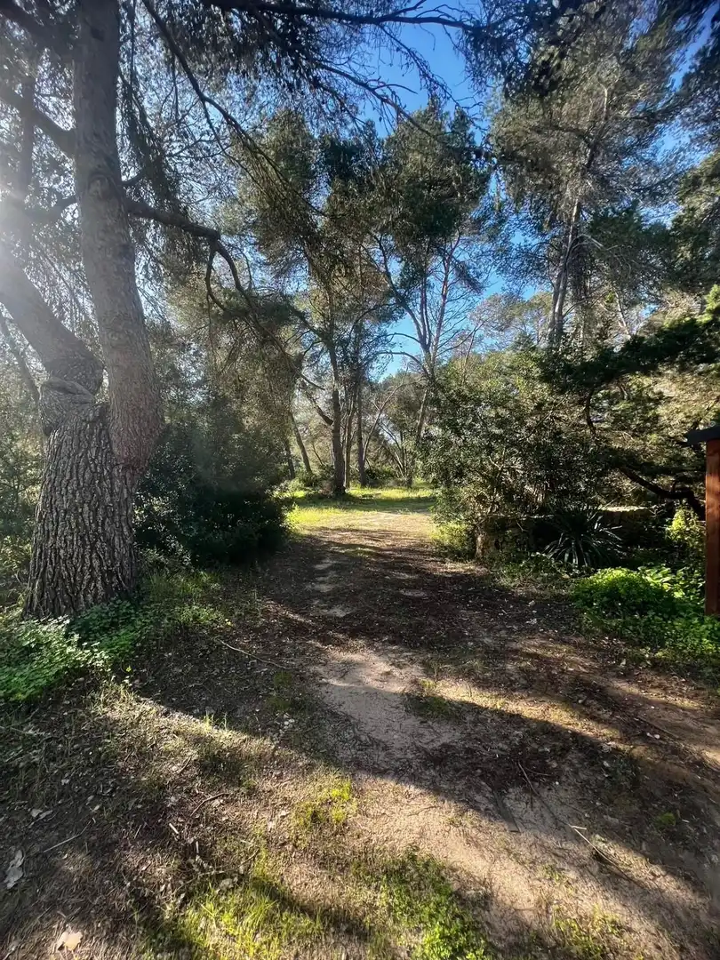 Country house zum Verkauf in DS POLIGONO 11 845, Cala Figuera