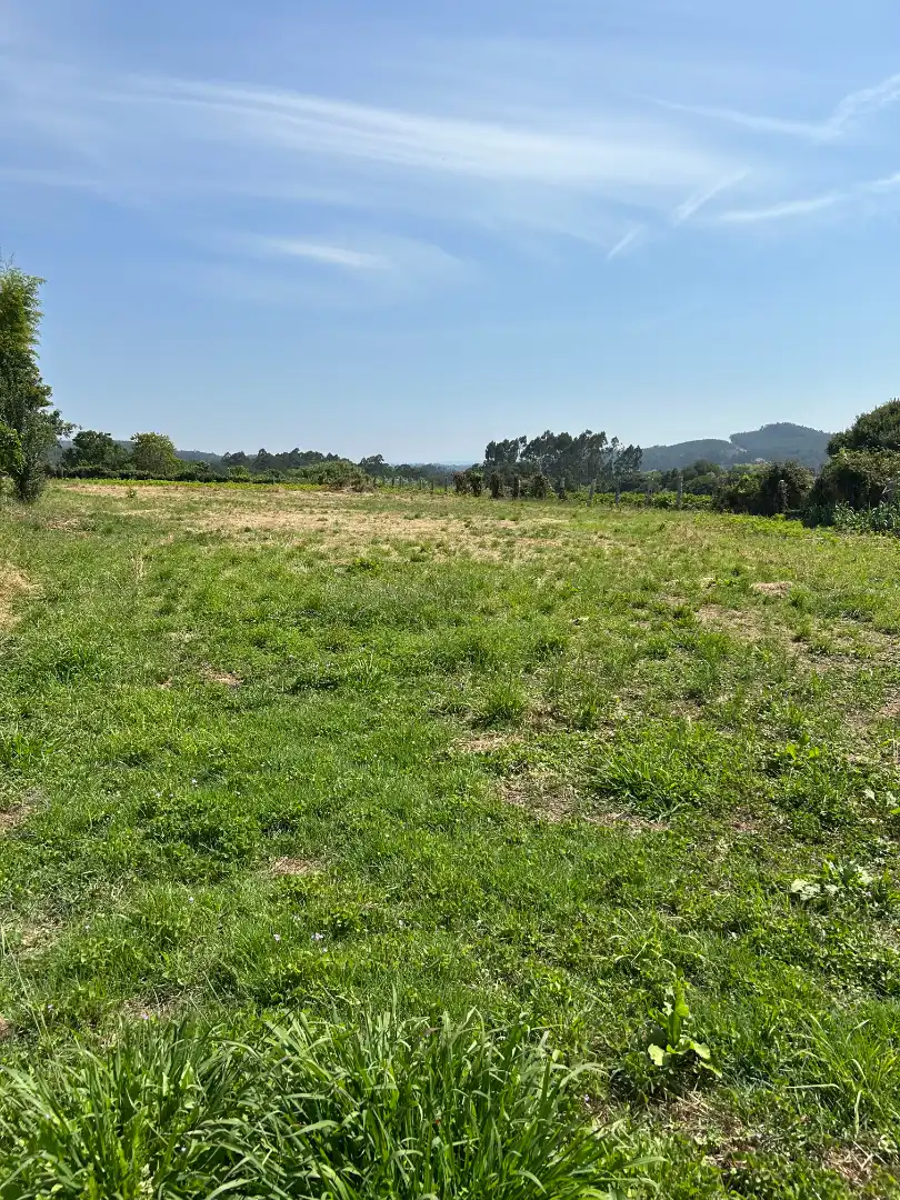Casa o xalet en venda en Meis amb Jardí privat, Traster i Piscina