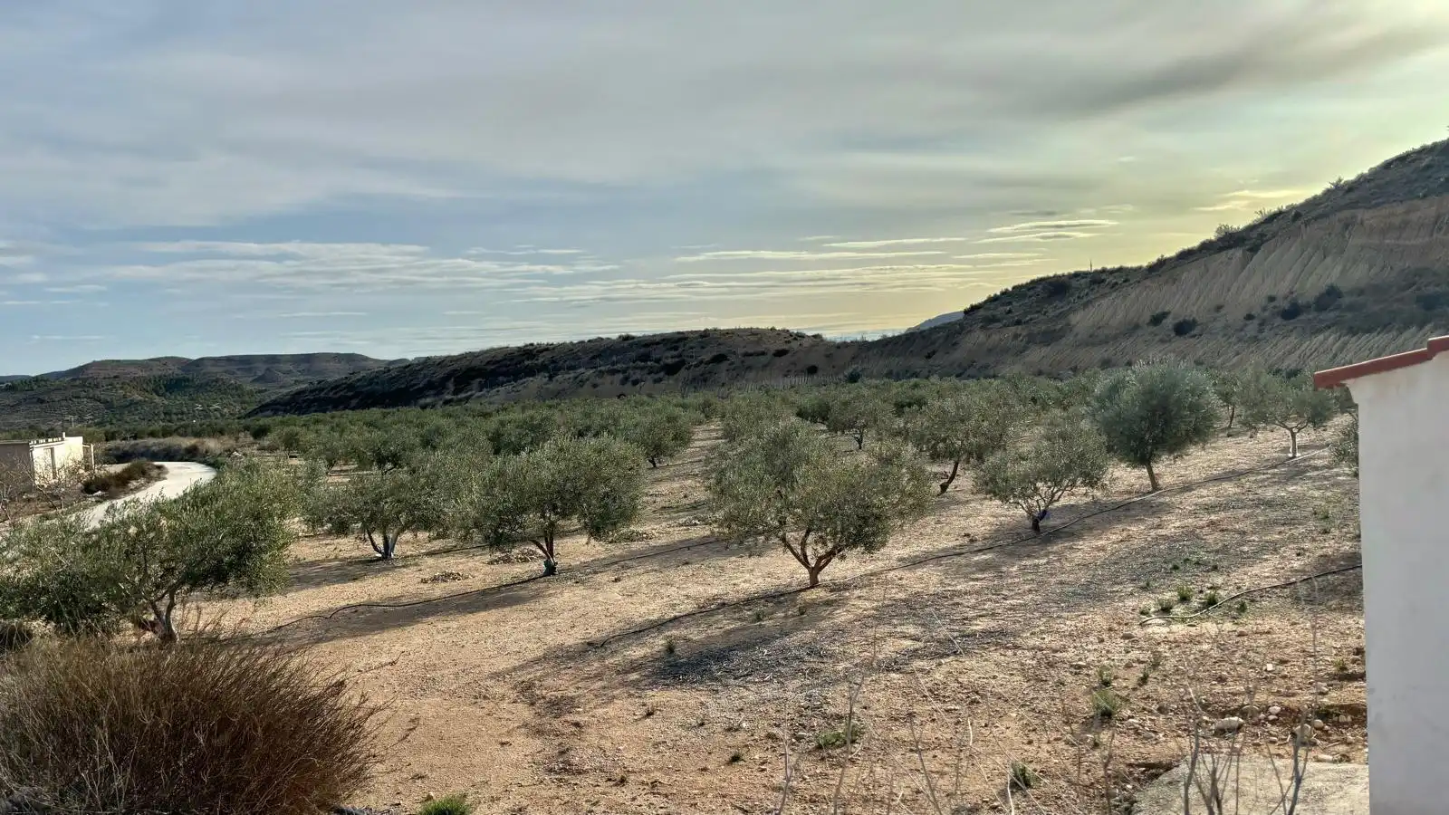 Rustikales Grundstück zum Verkauf in Pedanías Este, imagen 17