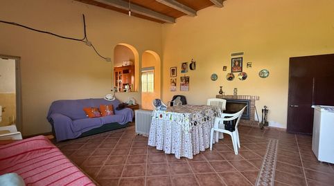 Casa de Campo en terrazgo en zona de El Rincón., immagine 3