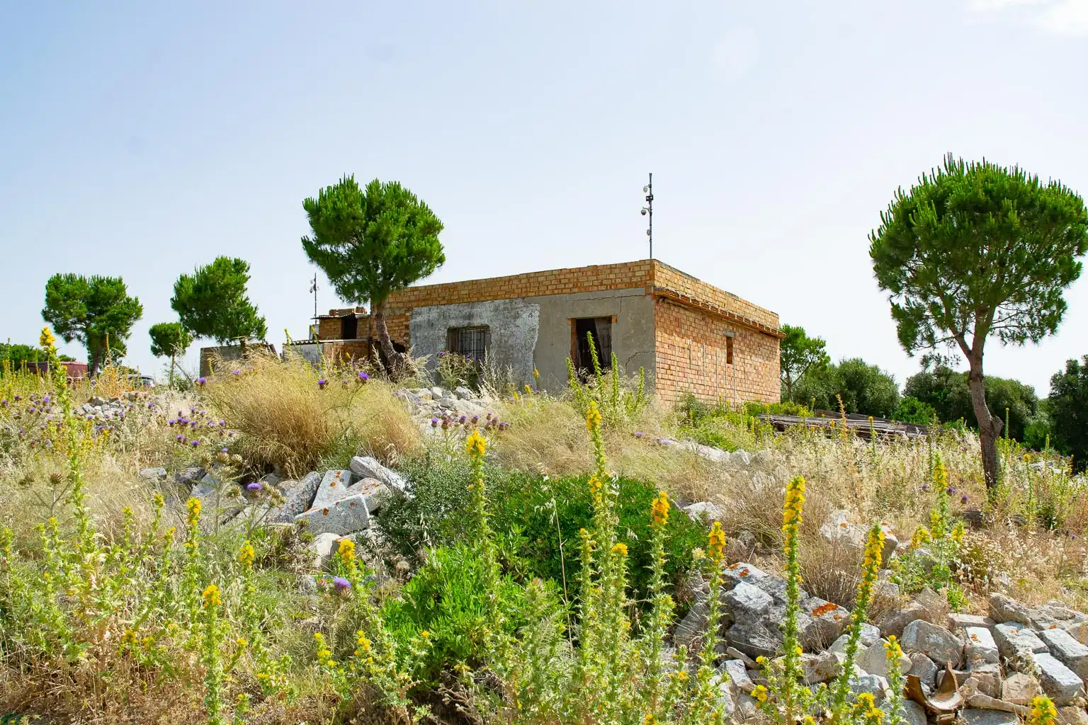 Terreny residencial en venda a Medina Sidonia, imagen 5