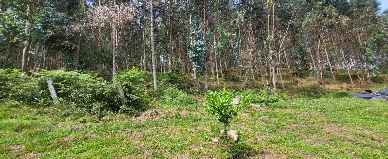 Casa o chalet en venta en Los Corrales de Buelna  con Jardín privado