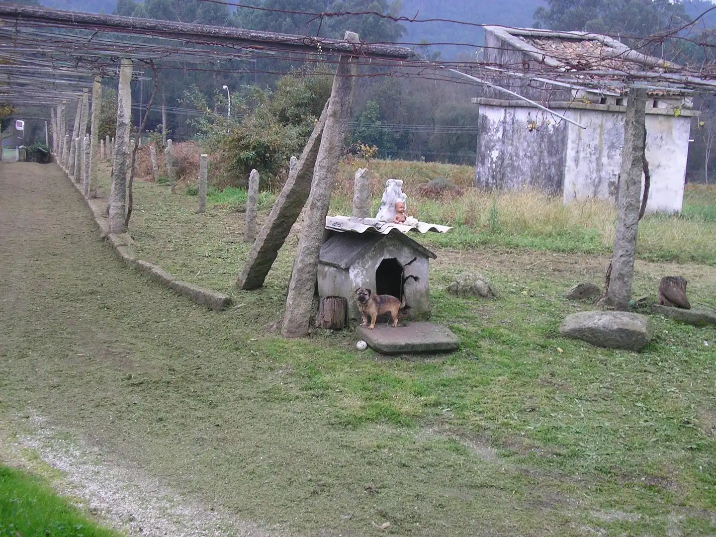 Jardí de Casa o xalet en venda en Boiro