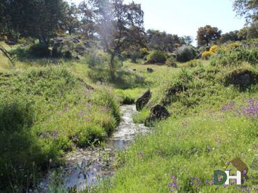 Terrenos y solares en venta en Navalmoral de la Mata