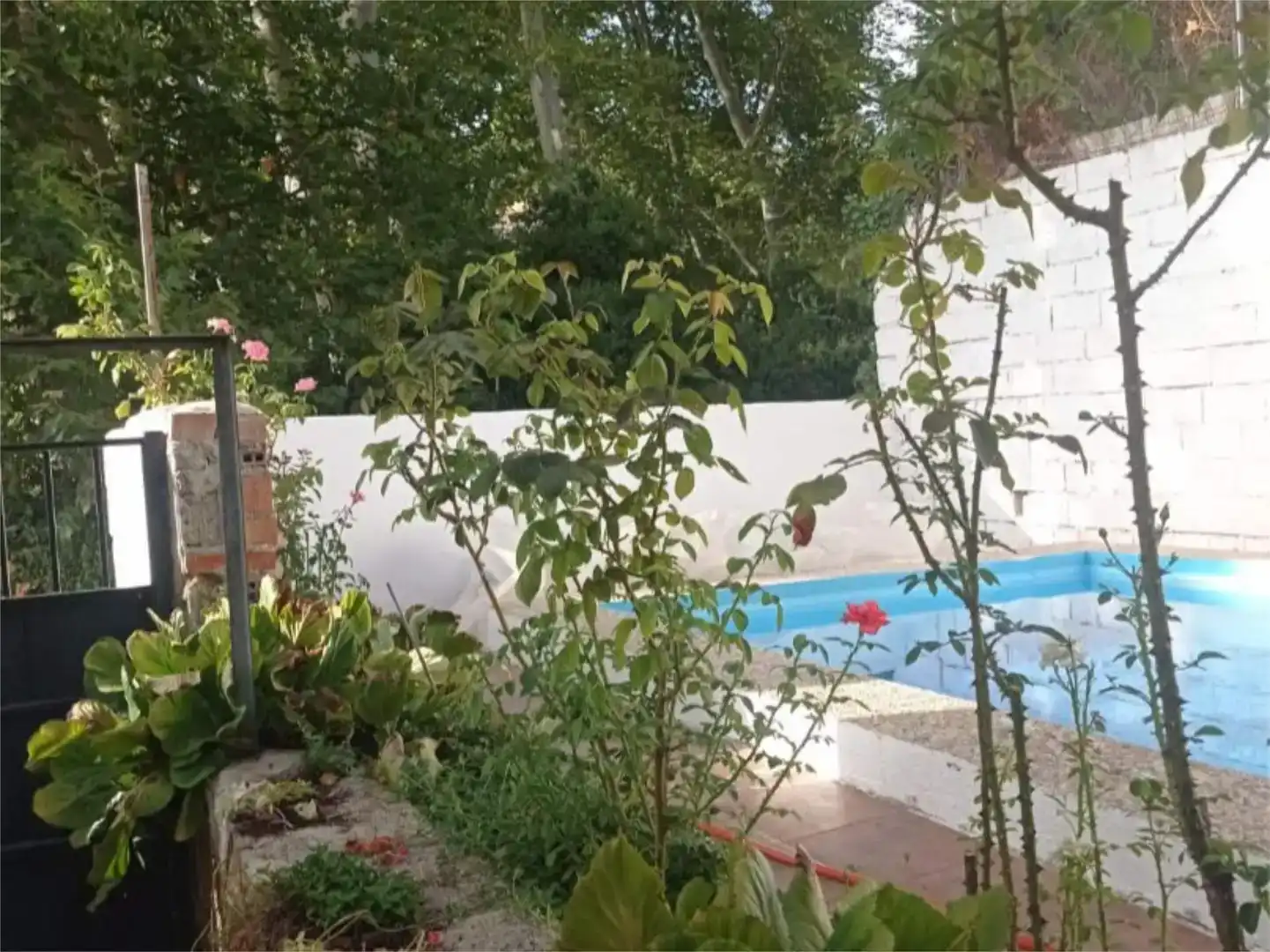 Piscina de Casa o chalet en venta en Cambil con Jardín privado, Piscina y Amueblado