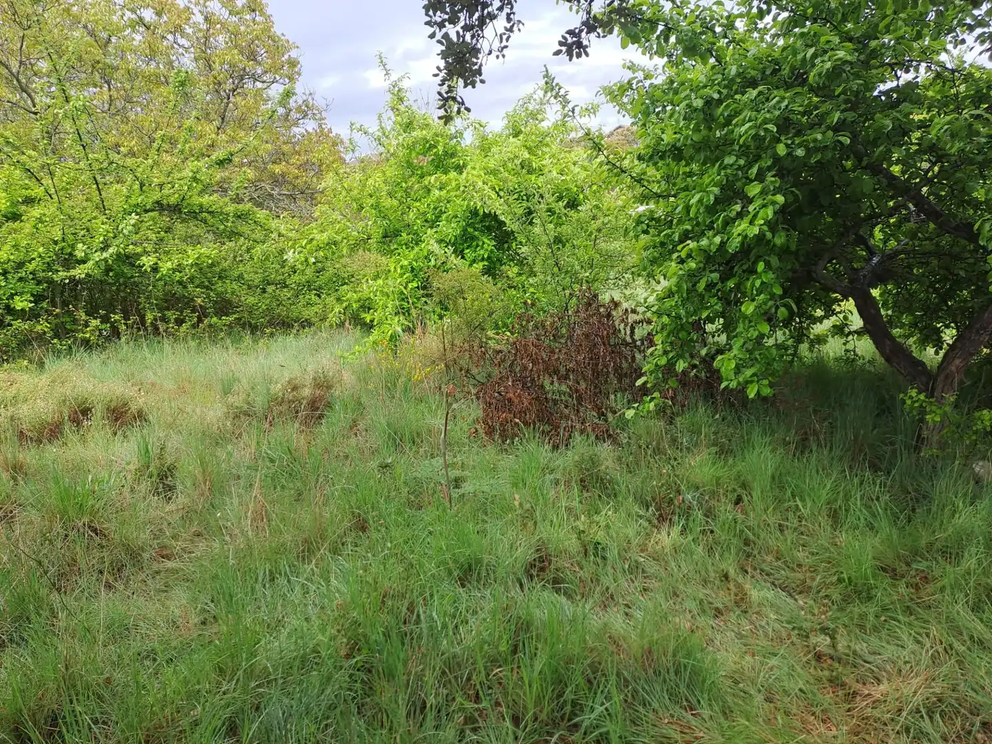 Residential for sale in Ituero y Lama