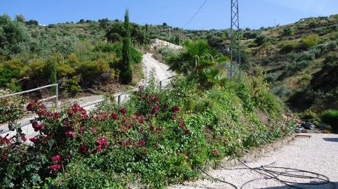 CHALET CON PISCINA Y PARCELA EN TORROX, imagen 4