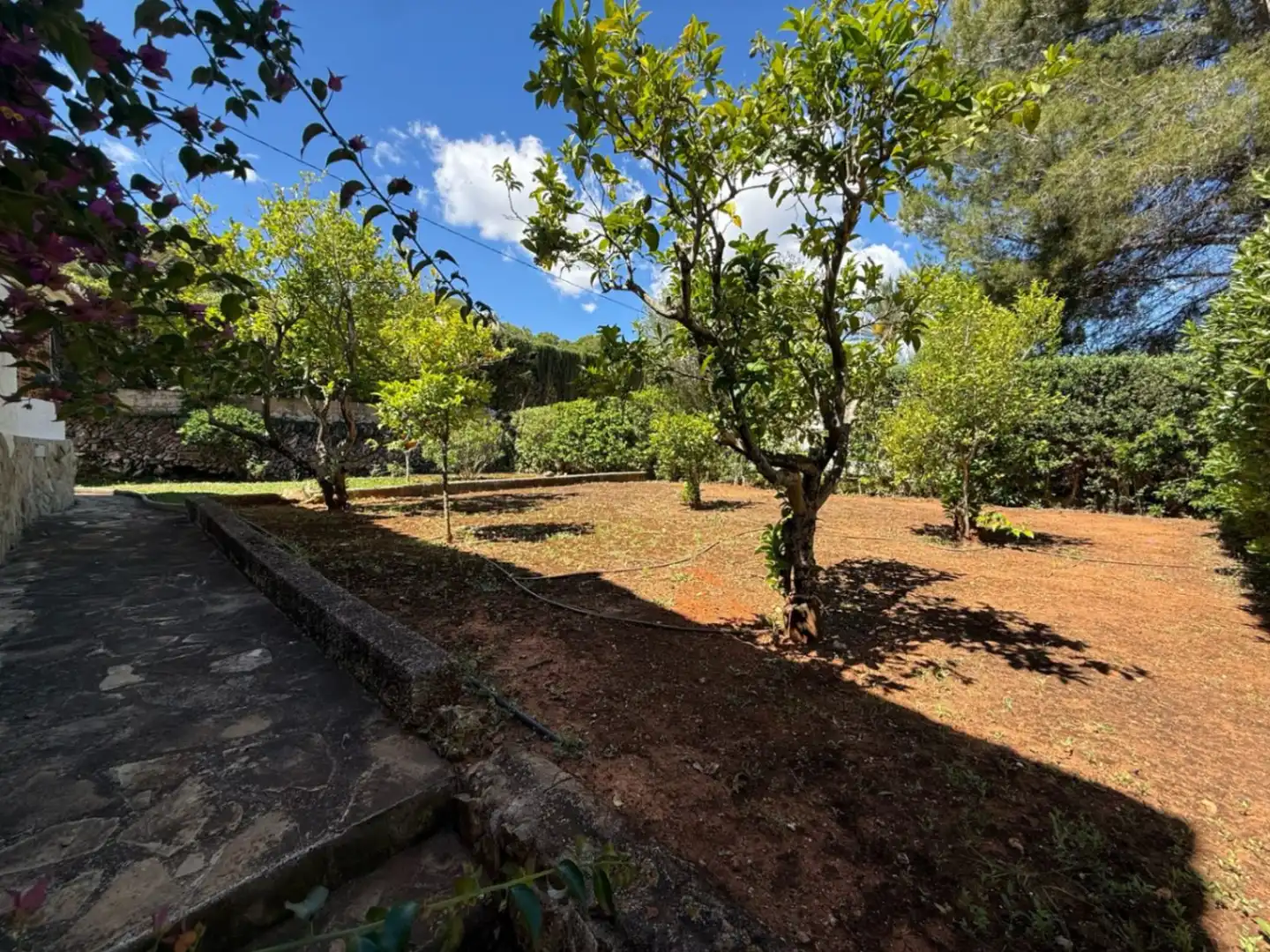 Chalet con jardín en venta en Cap Martí - El Tossalet - Pinomar, imagen 29
