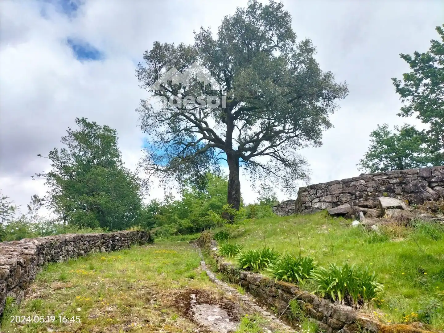 Terrenys i solars en venda a Cotobade, imagen 10