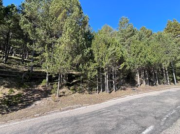Wohnbaugrundstück zum Verkauf in La Coma i la Pedra