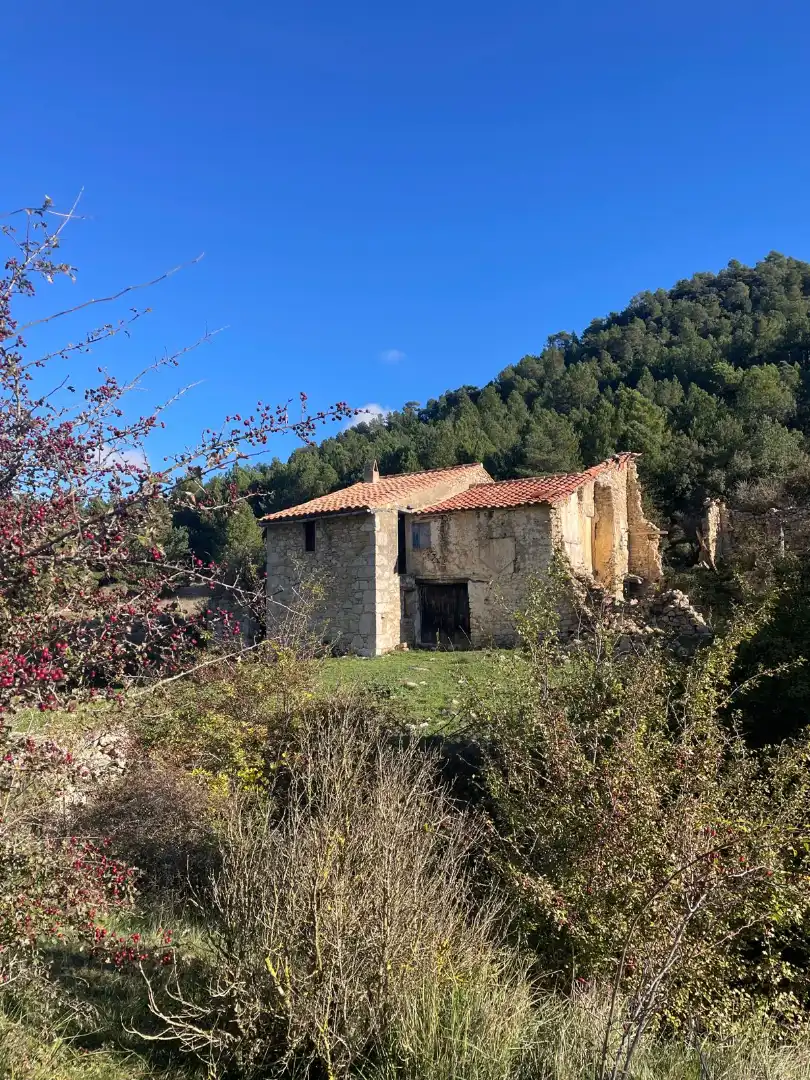 Terreny rústic en venda a La Pobla de Benifassà, imagen 12