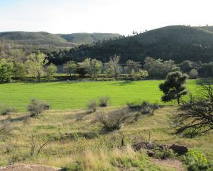 Terreny en venda en Darnius