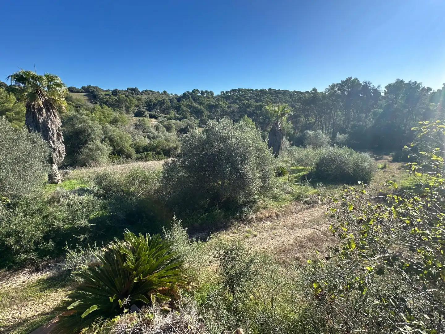 Casa en venta en Manacor Centre, imagen 39
