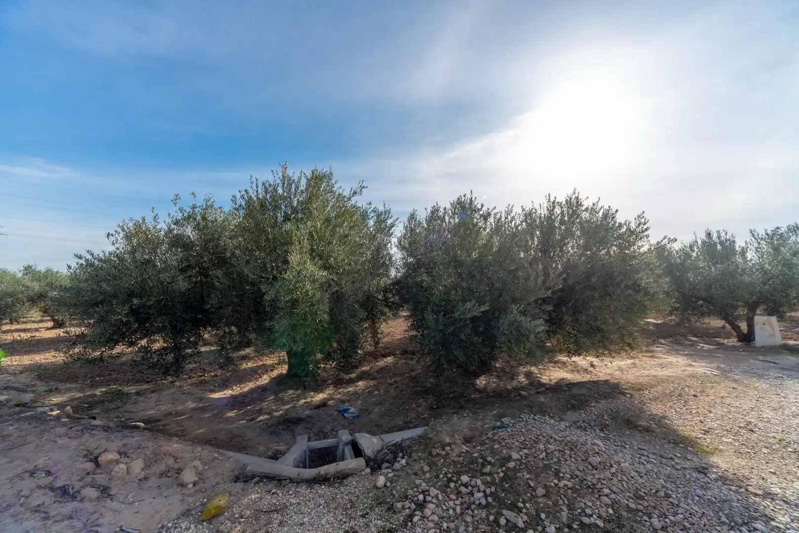 Terreno en venta en Polígono Parcela 66-65, 16, Crevillent