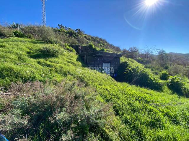 Terreno en Venta en Camino del Palo en Gáldar pueblo