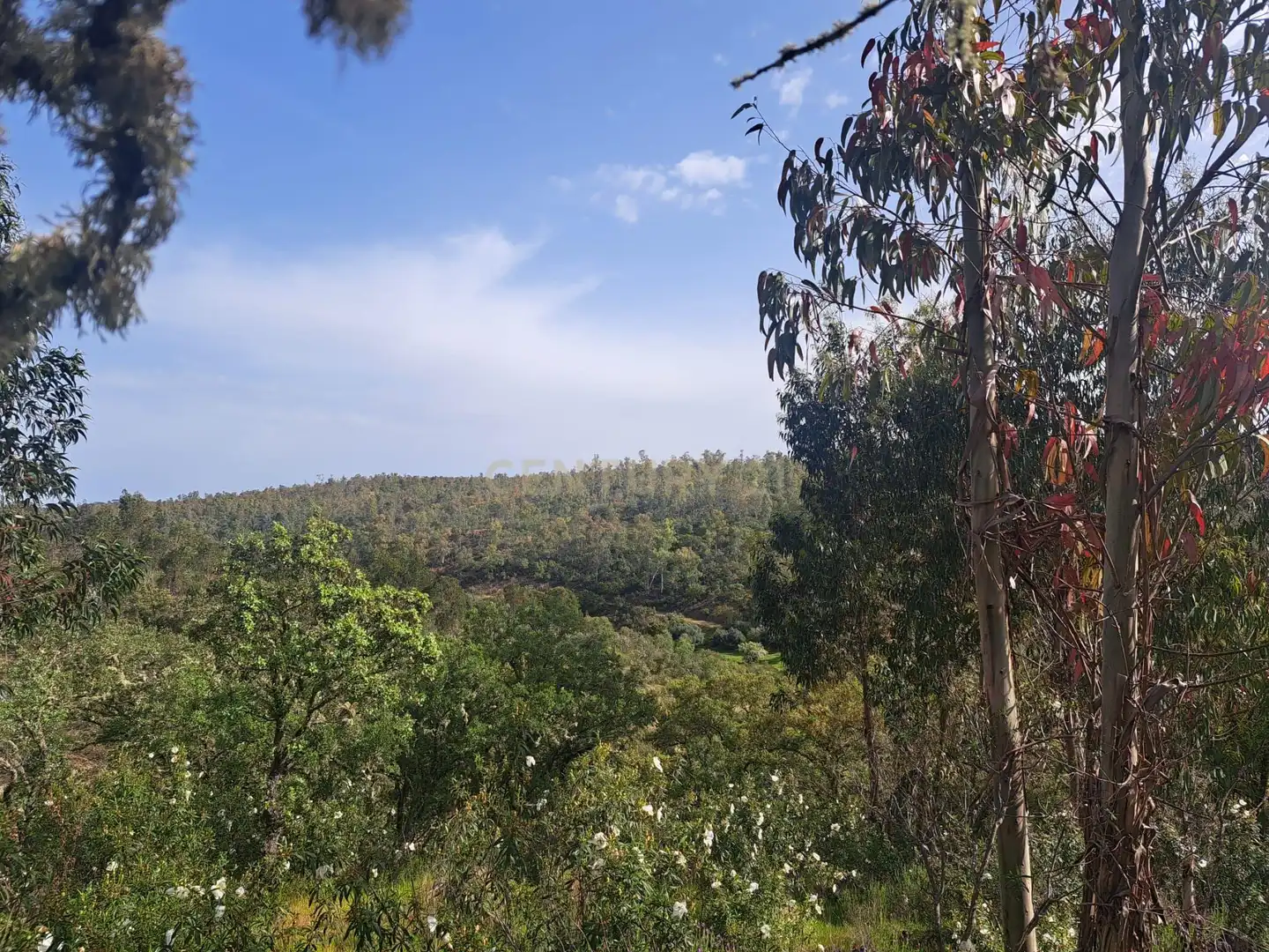 Terreno en venta en Herrera de Alcántara