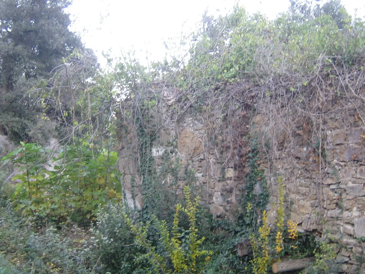Rural land for sale in Montagut i Oix, imagen 12