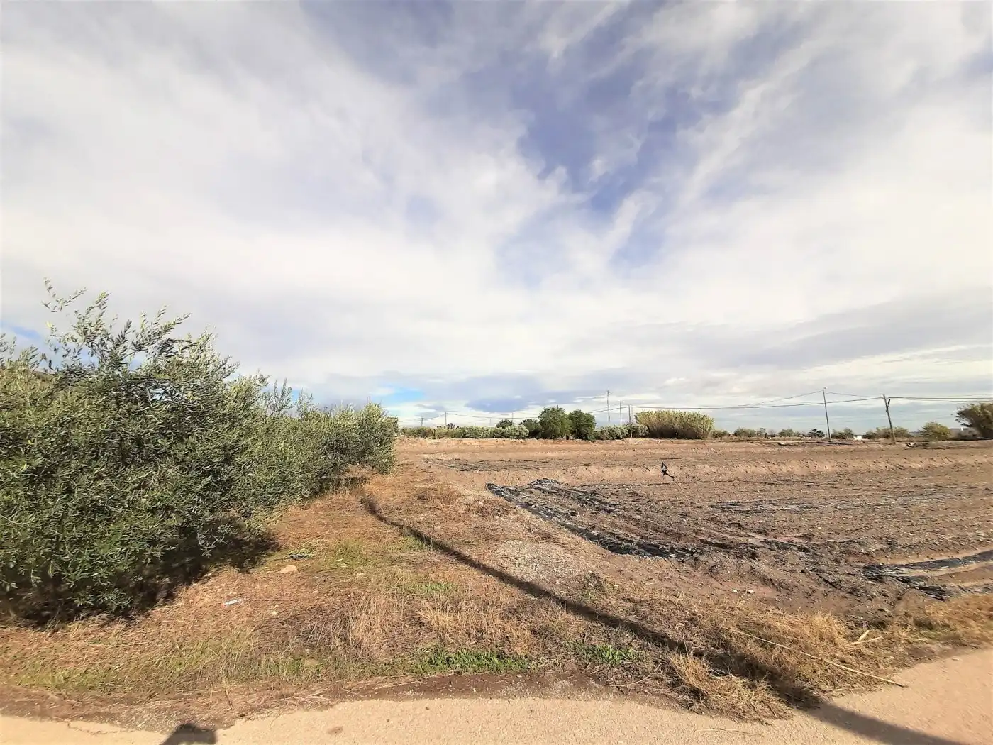 Wohnbaugrundstück zum Verkauf in Pedanías Centro, imagen 9