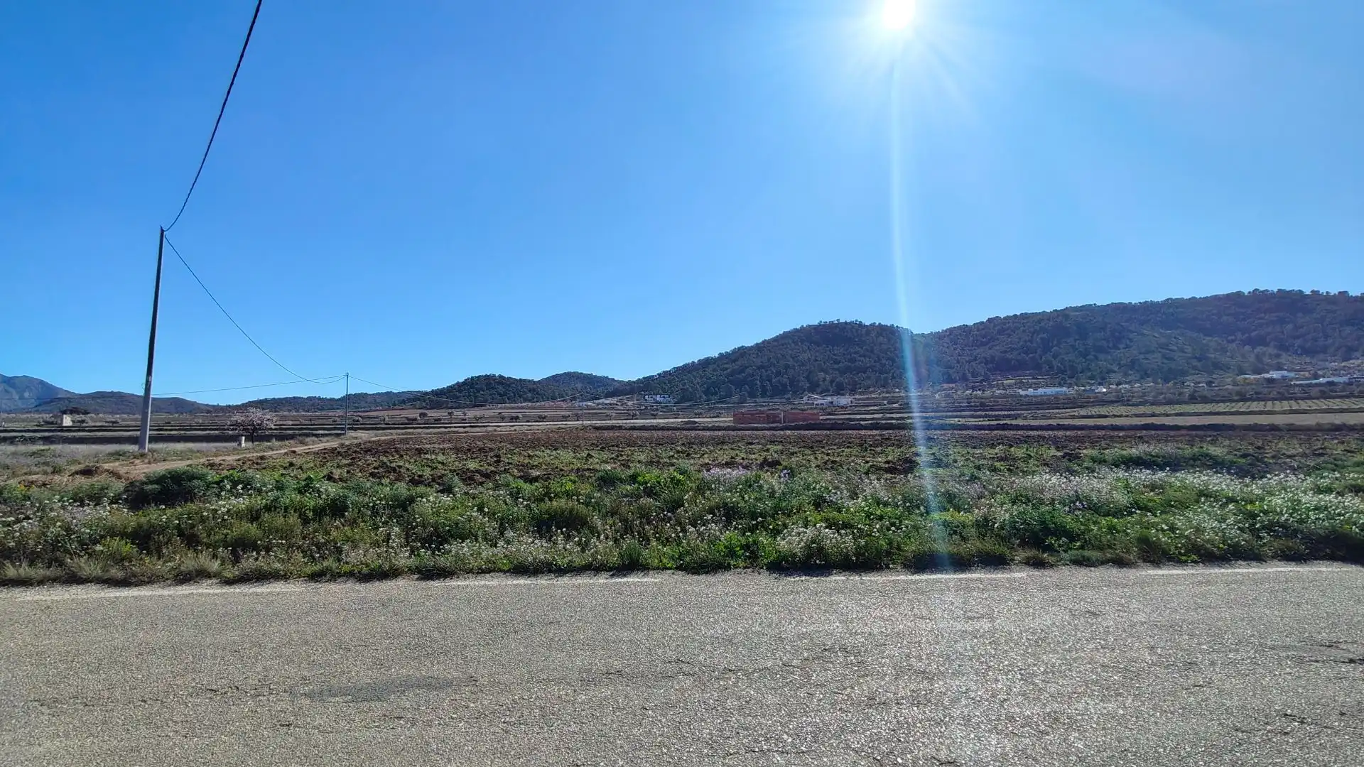 Lands and plots for sale in Abanilla