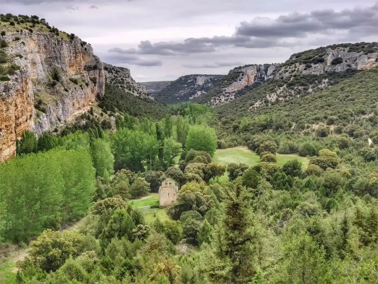 Jardí de Casa o xalet en venda en Campo de San Pedro, Segovia