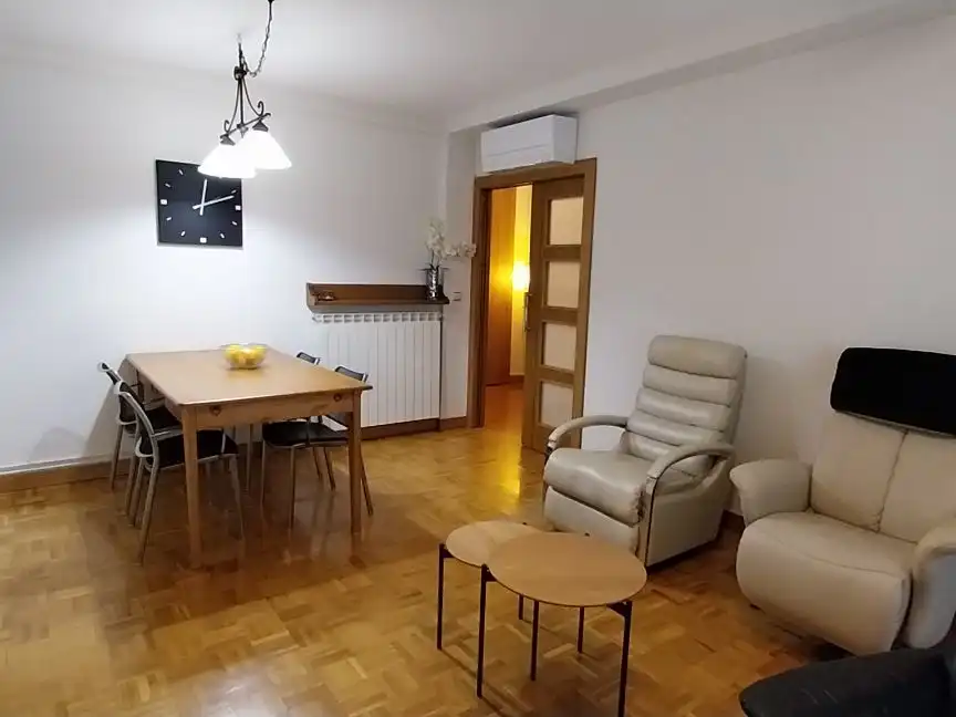 Sala d'estar de Pis en venda en Ayegui / Aiegi amb Aire condicionat, Calefacció i Parquet