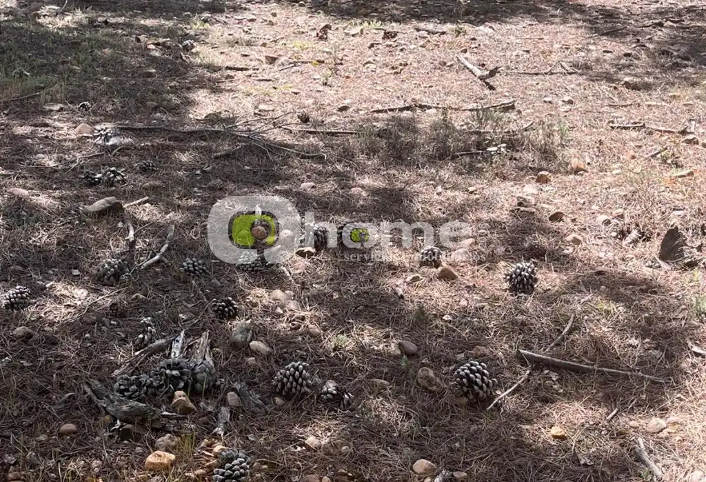 Terreno en venta en Granja de Moreruela