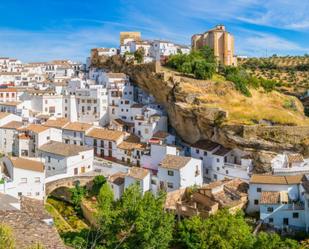 Vista exterior de Casa o xalet en venda en Setenil de las Bodegas amb Jardí privat, Terrassa i Traster