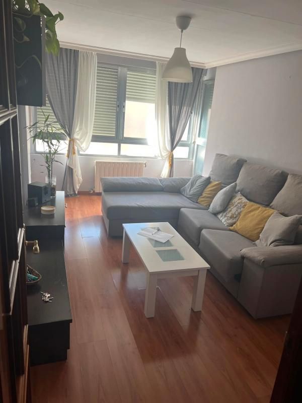 Sala d'estar de Apartament de lloguer en  Madrid Capital amb Aire condicionat, Moblat i Es permeten mascotes