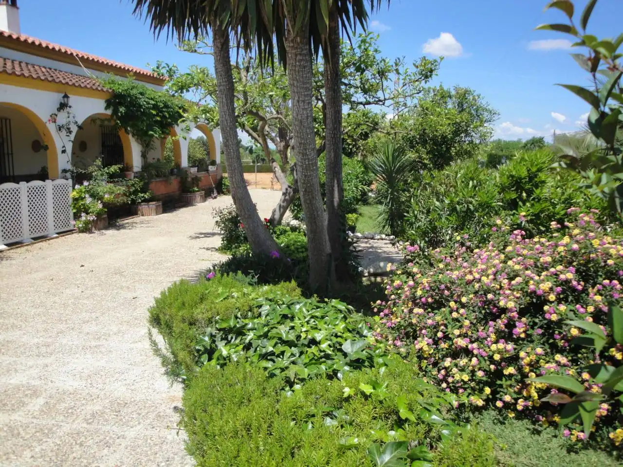 Jardín de Casa o chalet en venta en Carmona con Jardín privado, Terraza y Piscina
