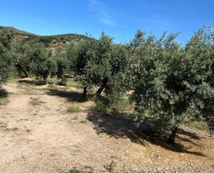 Land for sale in Fuente-Tójar