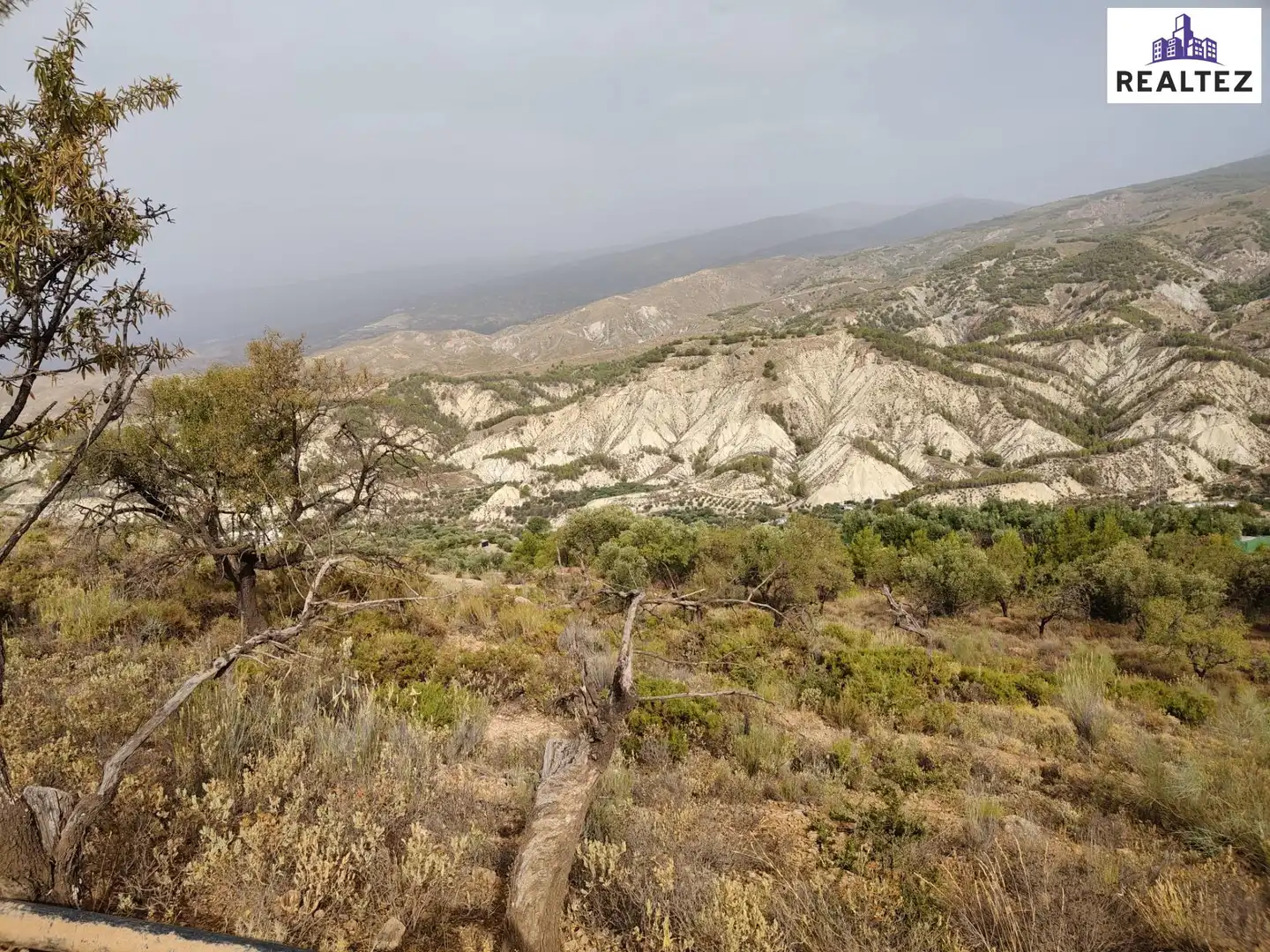 Terrain rustique à vendre à Alcolea, imagen 2