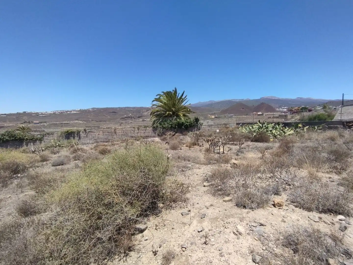Grundstücke zum Verkauf in Granadilla de Abona