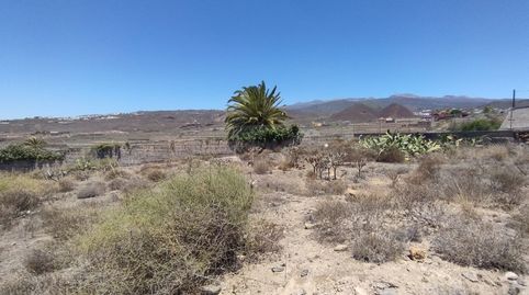 Photo 4 of Land for sale in Charco del Pino, Granadilla de Abona