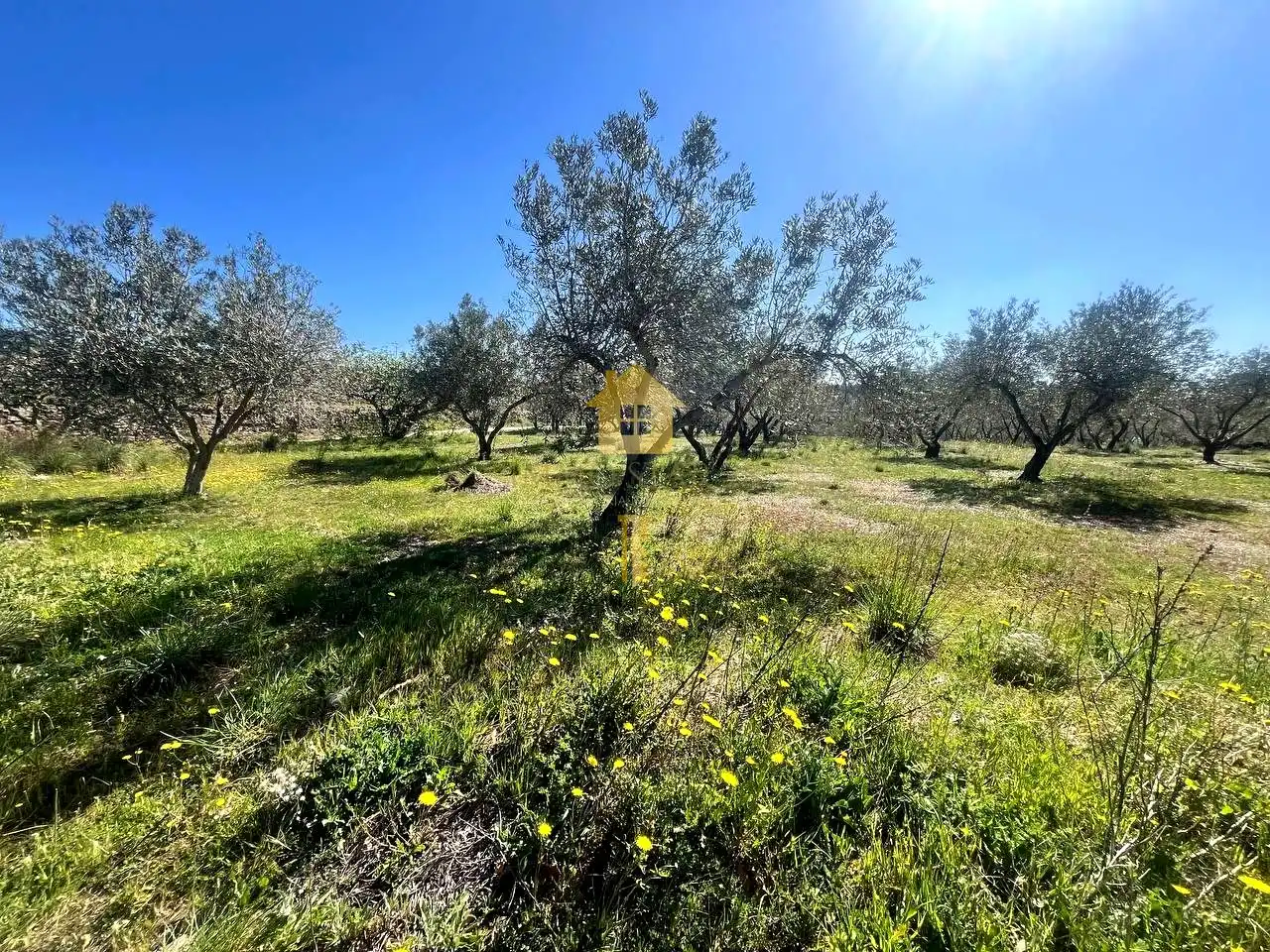 Residencial en venta en Espolla