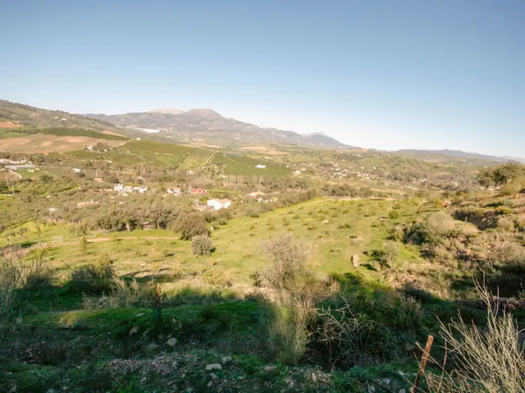Casa rústica en venta en Partida Llano Comisario, imagen 7