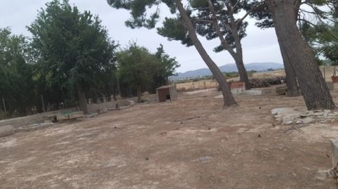 Finca rustica del 1920 reformada, immagine 5