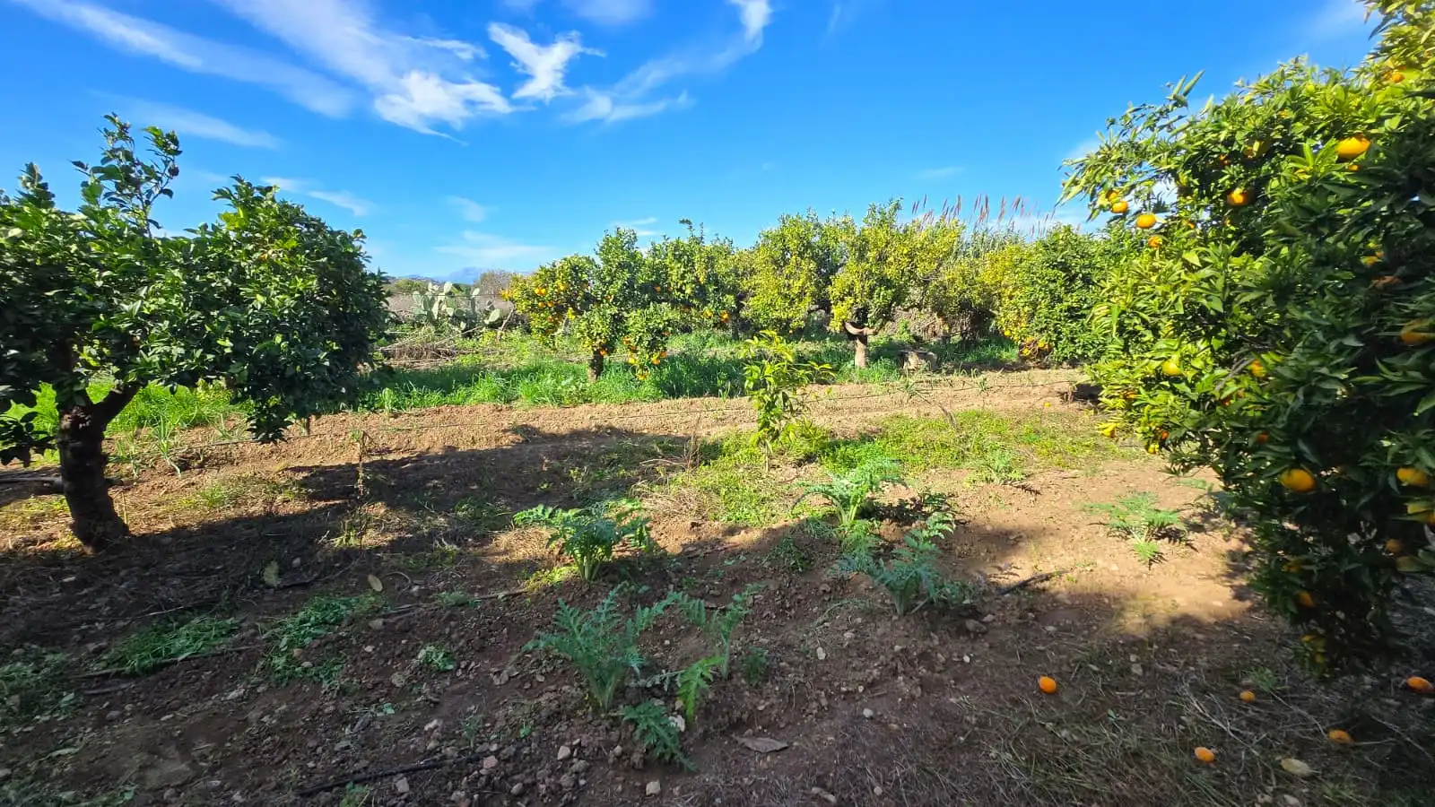 Houses for sale in Alhaurín de la Torre  with Air Conditioner, Private garden and Storage room