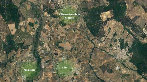 Photo 5 of Office for sale in Barriada Blas Infante , Villamanrique de la Condesa, Sevilla