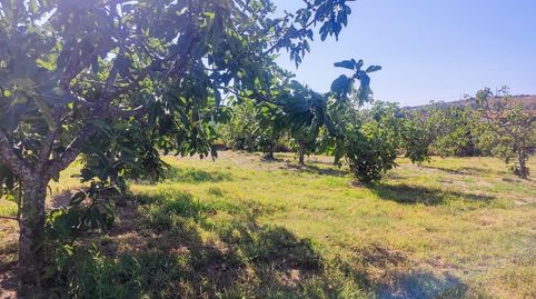 PRECIOSA FINCA EN JARANDILLA, imagen 4