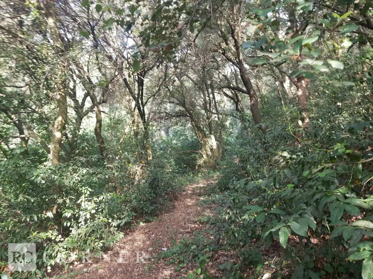Finca rústica en venta en Dosrius poble