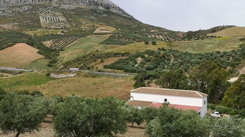 Photo 3 of Country homes for sale in Diseminado Poligono 72, 308, Bobadilla - Bobadilla Estación - La Joya, Antequera