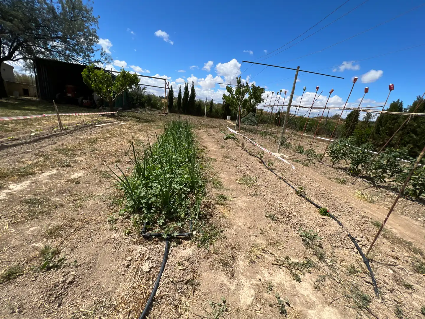 Terreni e lotti in vendita a Barrios rurales del oeste, imagen 12