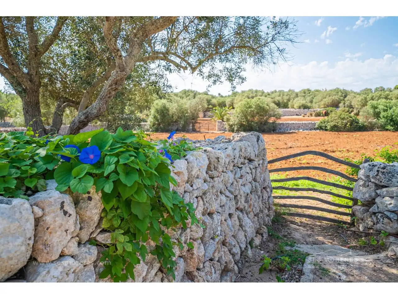 Country house with pool for sale in Sant Lluís - S'Ullestrar - Torret, imagen 33