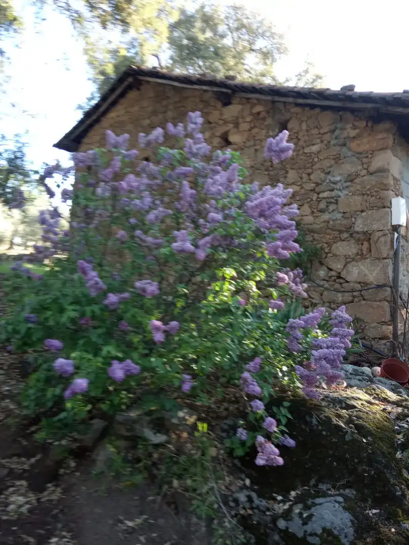Terreni e lotti in vendita a La Cañada - Aldea Moret, imagen 6