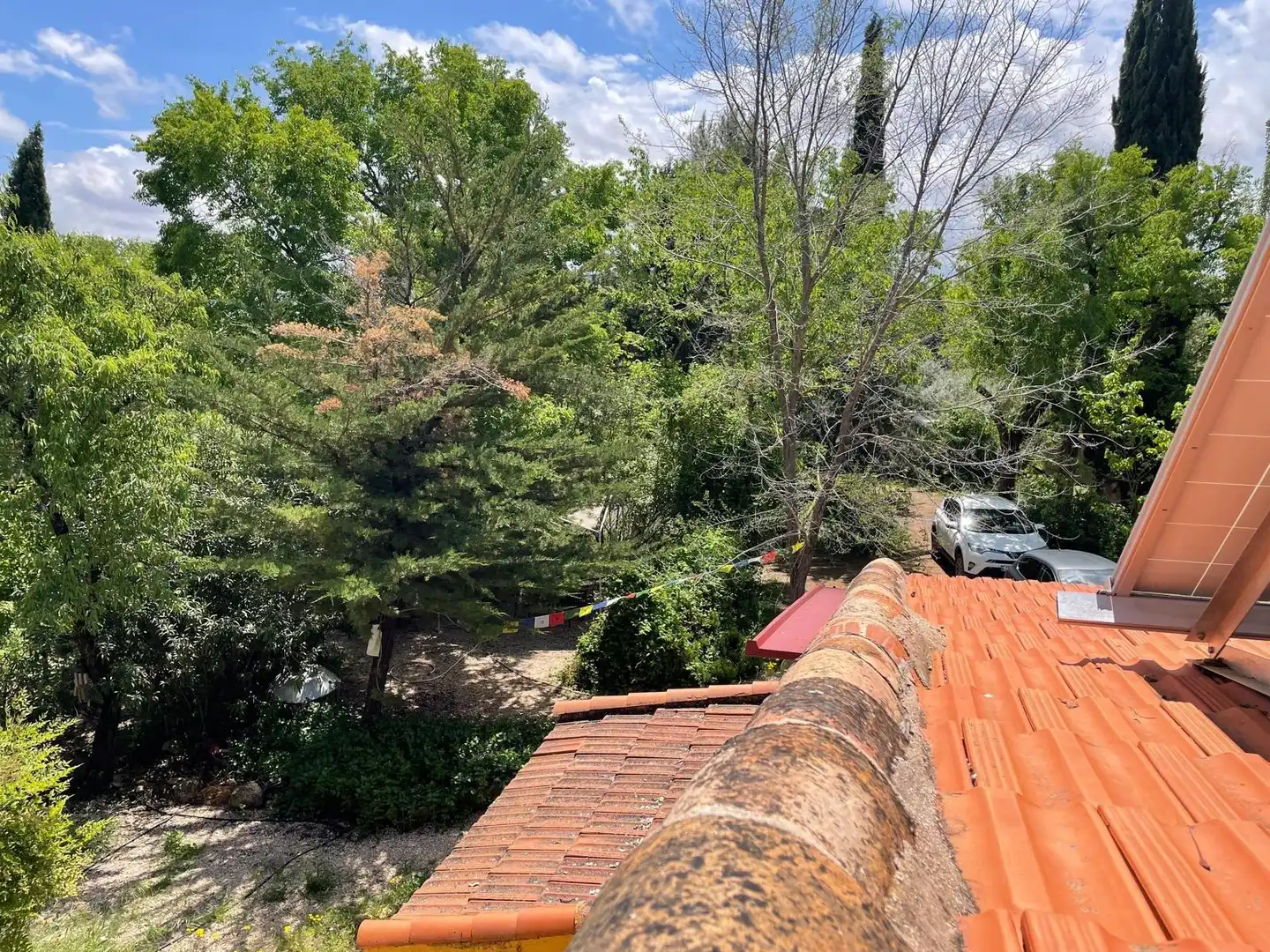 Jardí de Finca rústica en venda en Carrión de Calatrava amb Calefacció, Terrassa i Traster